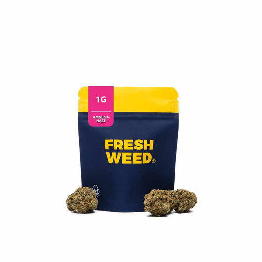 THC-R FLOWERS AMNESIA HAZE 20% - 1G