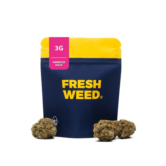 HHC-H KVĚTY AMNEZIA HAZE 15%