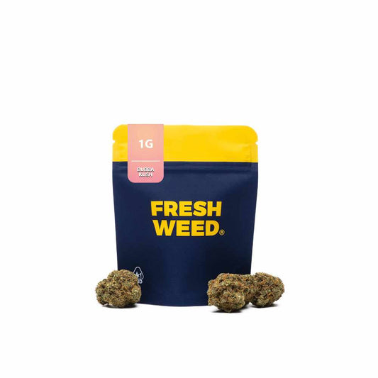 THC-R FLOWERS BUBBA KUSH 15% - 1G