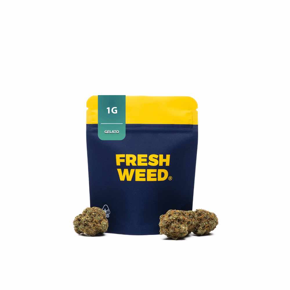 THC-R KVĚTY GELATO 15% - 1G
