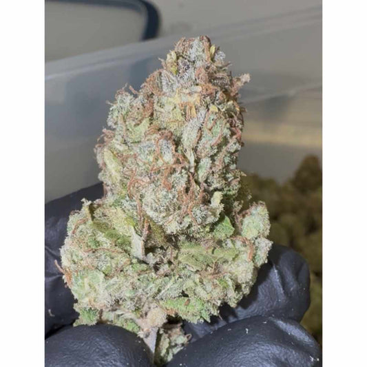 THC-X FLOWERS HARLEY QUINN 30% - BULK