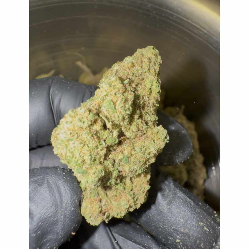 THC-X KVĚTY ZKITTLEZ 30% - BULK