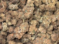 THC-PO KVĚTY WHITE WIDOW 8%