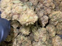 CBG KVĚTY LEMON 15% - BULK