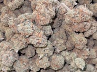 CBD KVĚTY SHERBANGER 17% - BULK